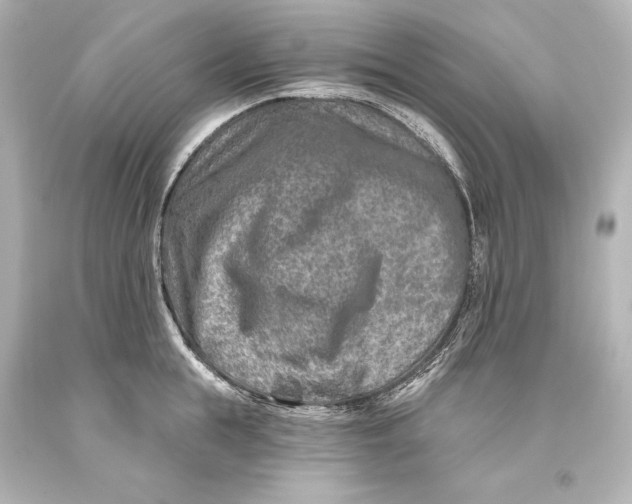 X0000093470855200711021230