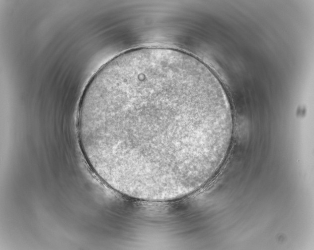 X0000093470856200711021230