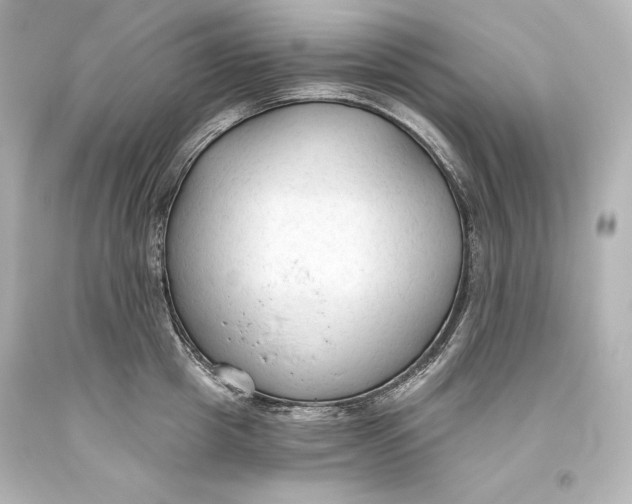 X0000093470857200711021230