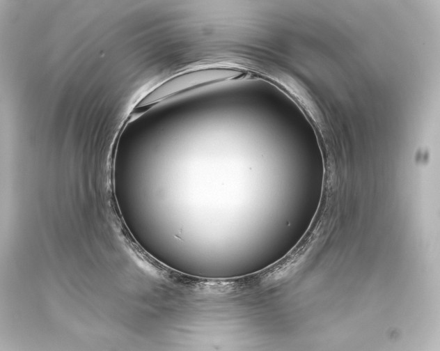 X0000093470858200711021230