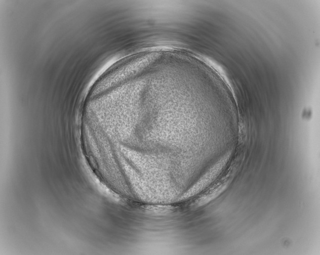 X0000093470859200711021230