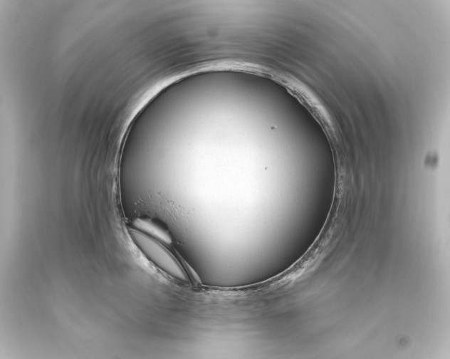 X0000093470860200711021230