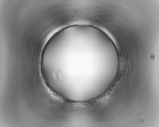 X0000093470861200711021230