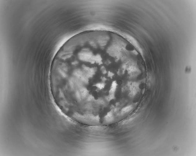 X0000093470863200711021230