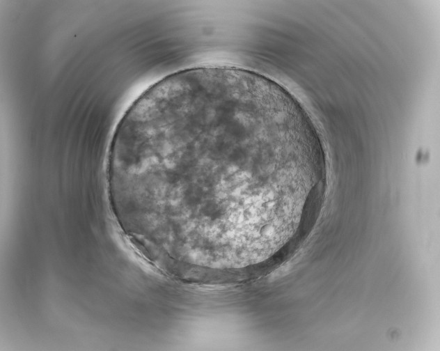 X0000093470864200711021231