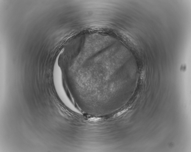 X0000093470868200711021230