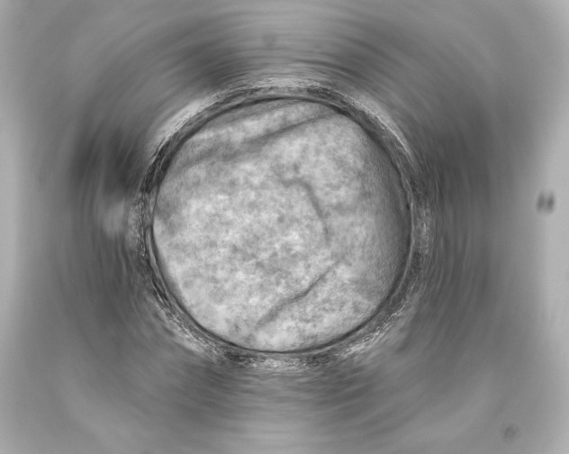 X0000093470874200711021230