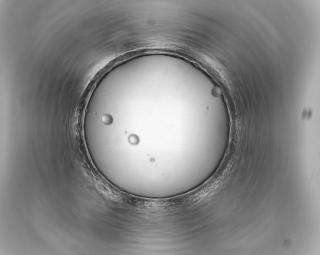 X0000093470875200711021230