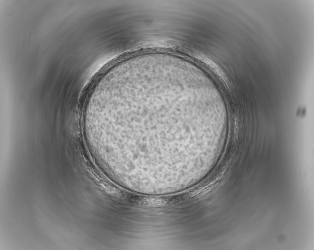 X0000093470878200711021229