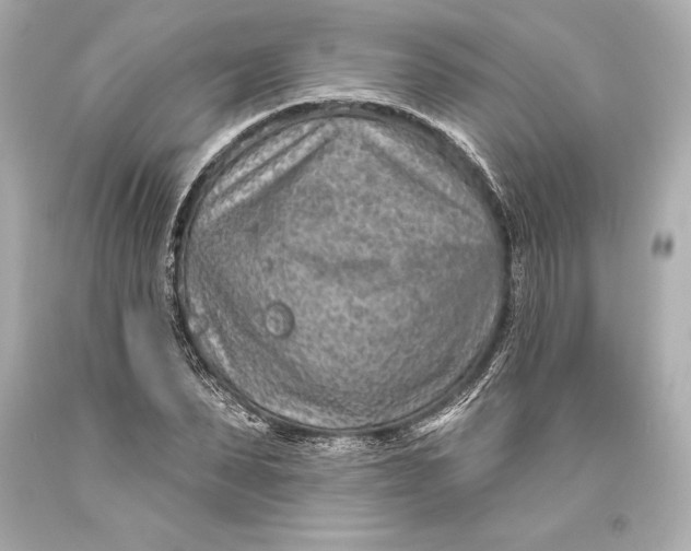 X0000093470879200711021229