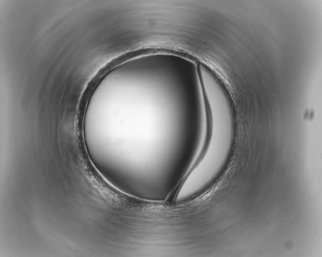 X0000093470880200711021229