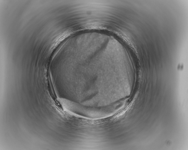 X0000093470881200711021229