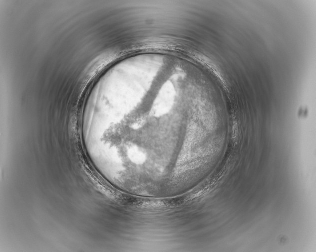 X0000093470882200711021229