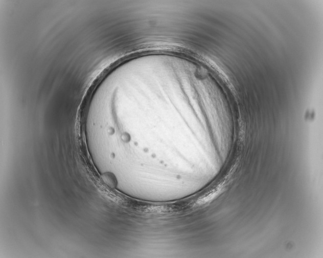 X0000093470883200711021229