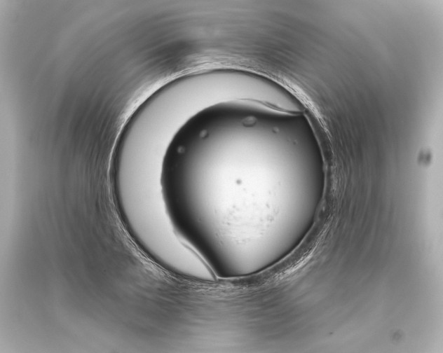 X0000093470885200711021229