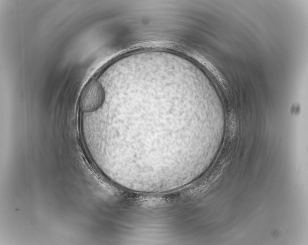 X0000093470886200711021229