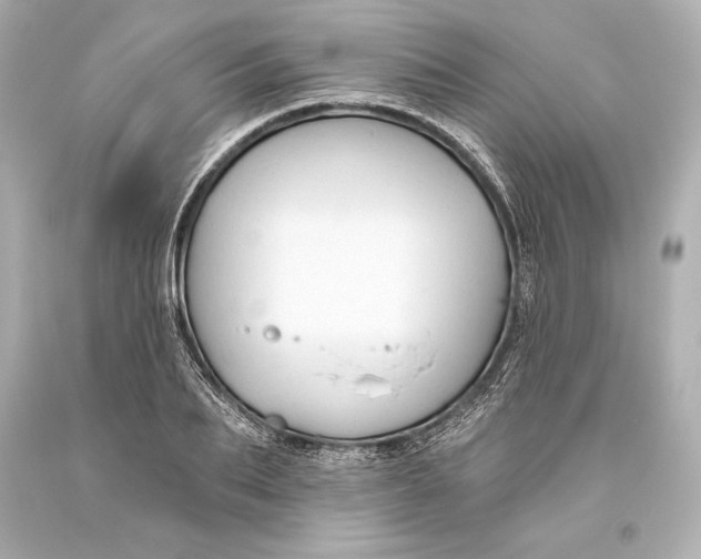 X0000093470887200711021229