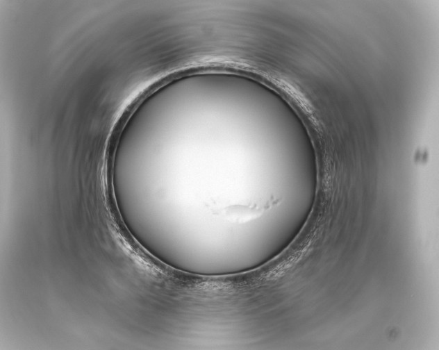 X0000093470888200711021229