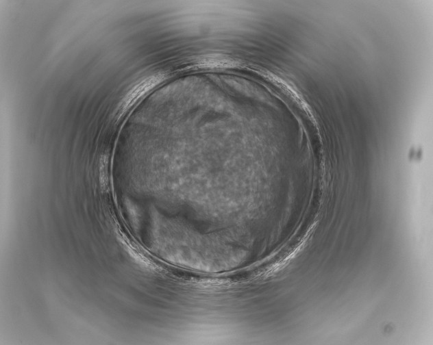 X0000093470889200711021229