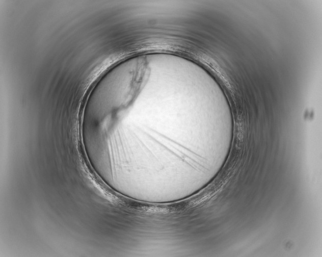 X0000093470890200711021229