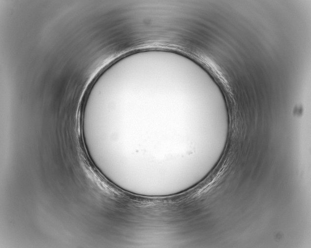 X0000093470892200711021229