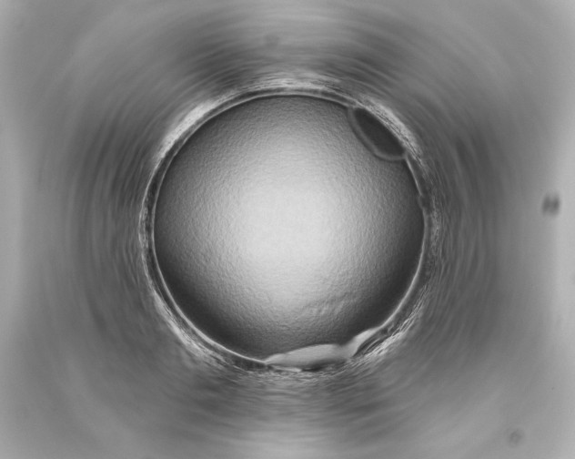 X0000093470893200711021229