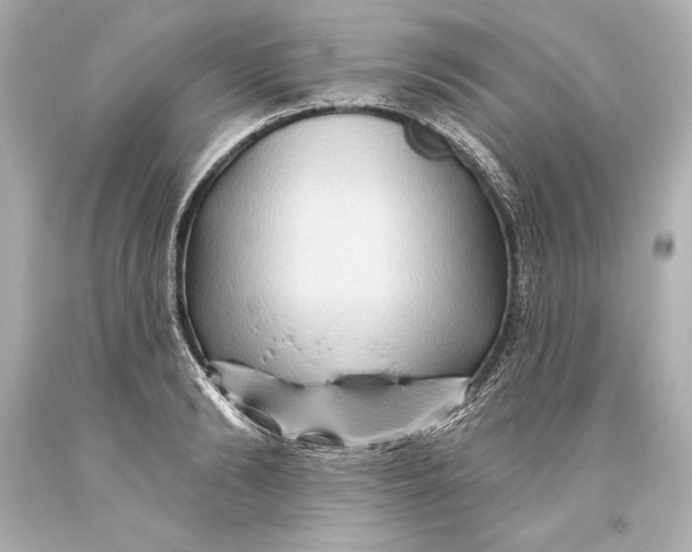 X0000093470894200711021229