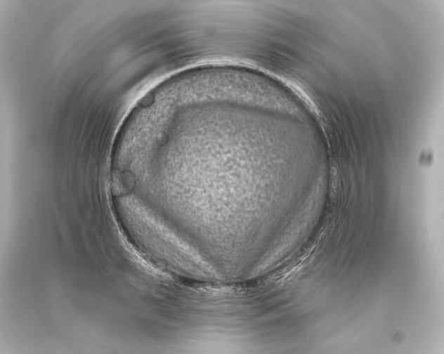 X0000093470895200711021229