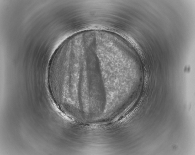 X0000093470896200711021229