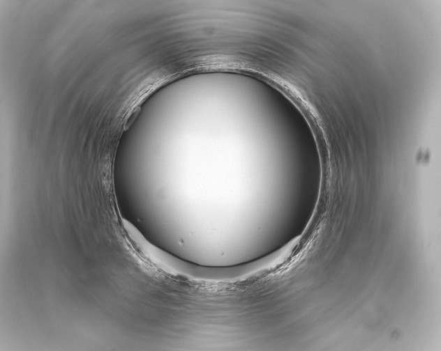 X0000093470897200711021229