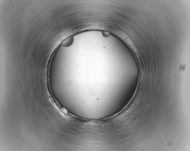 X0000093470898200711021229