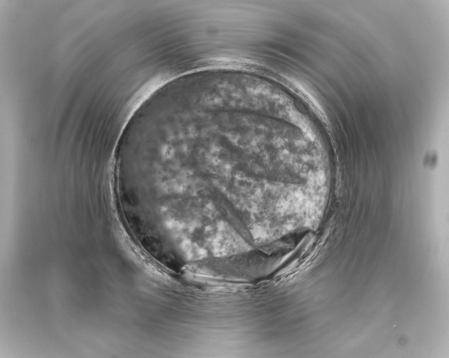 X0000093470899200711021229