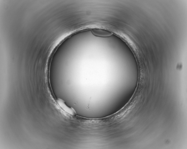 X0000093470902200711021229