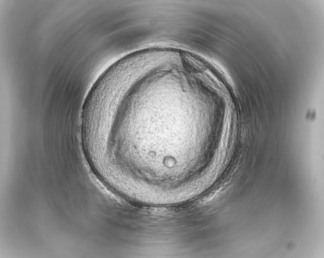 X0000093470903200711021229