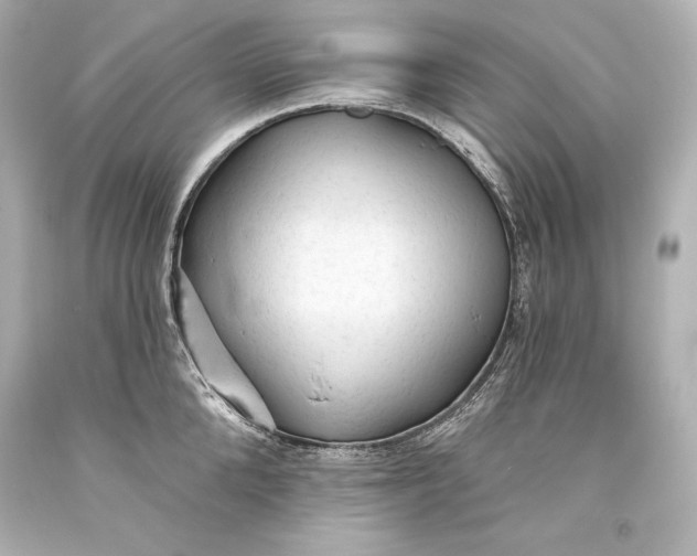 X0000093470904200711021229