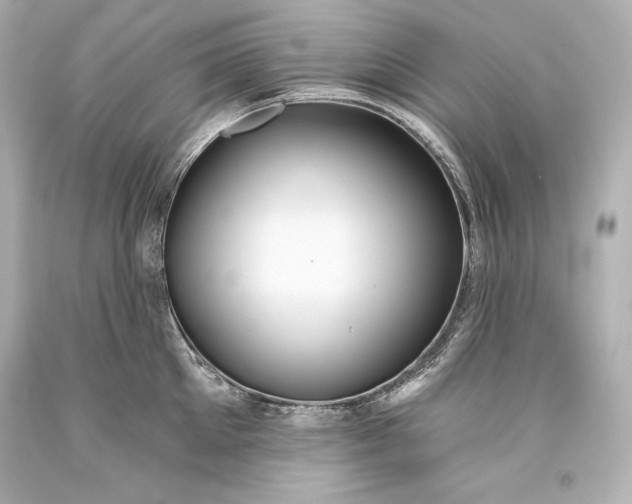 X0000093470905200711021229