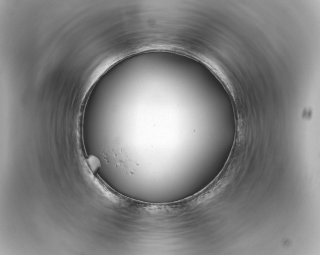 X0000093470906200711021229