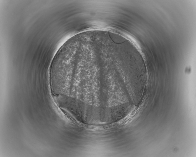 X0000093470907200711021229