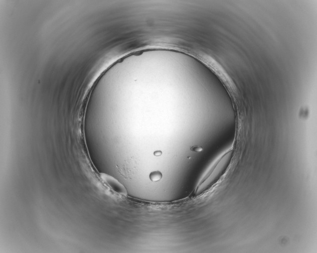 X0000093470908200711021229