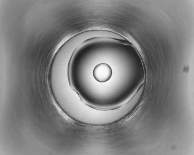 X0000093470909200711021229