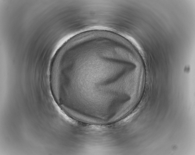 X0000093470910200711021229