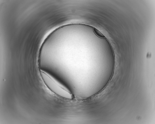 X0000093470912200711021229