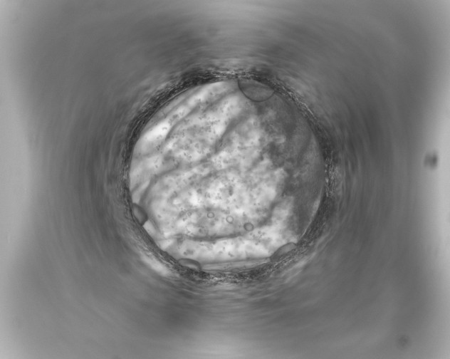 X0000093470913200711021228