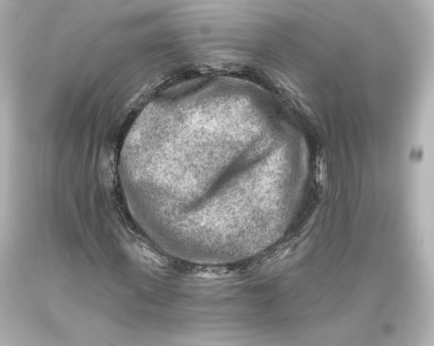 X0000093470915200711021228