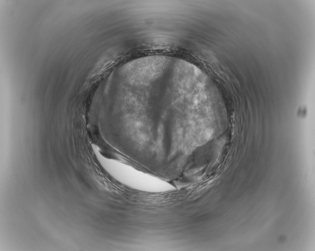 X0000093470916200711021228