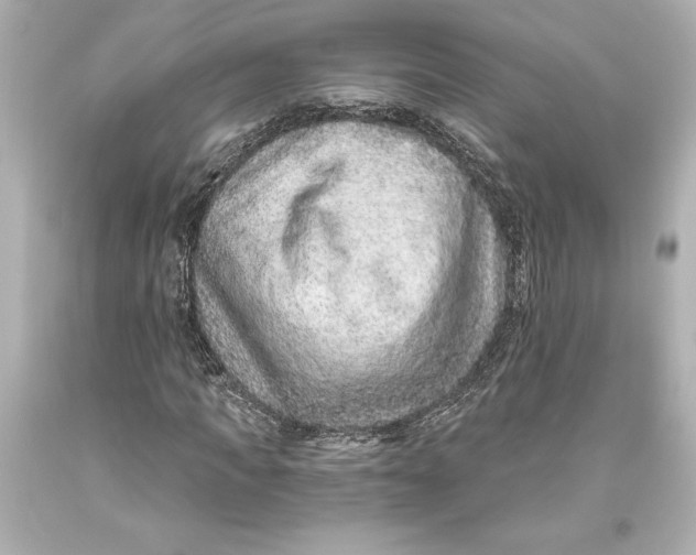 X0000093470917200711021228