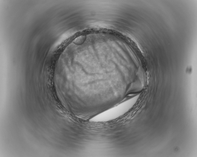 X0000093470919200711021228