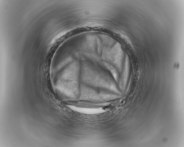 X0000093470920200711021228