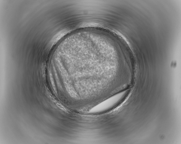 X0000093470921200711021228