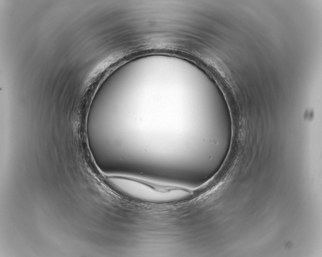 X0000093470922200711021228